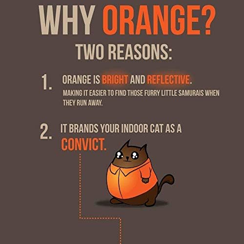 Персонални яки за самоличност котка Кити Convict (Оранжево, Бродирана яка за самоличност котка)
