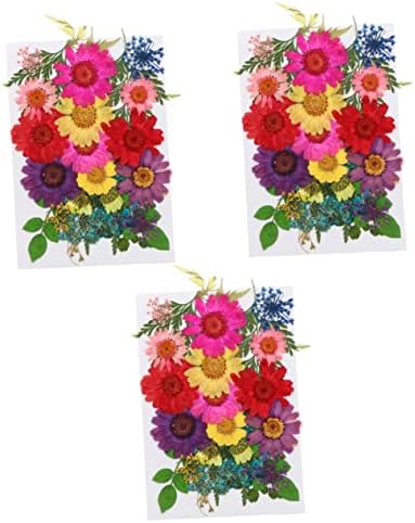 SEWACC 3 Серии /16 бр., Аксесоари за бижута от смола с отпечатан под формата на сухи цветя, Сухи Цветя, растения от смола,