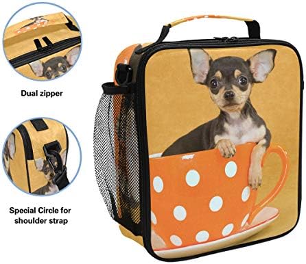 Чанта-хладилник за Обяд за Кученца Чихуахуа, Множество Изолирани Училищна Чанта-Хладилник