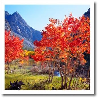 3dRose ht_206118_1 САЩ Калифорния Сиера Невада Трепетлика през есента в Сьерре Ютия на Теплопередаче за бял материал, 8 x 8