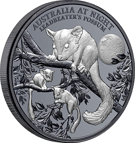 2022 DE Australia през нощта PowerCoin Ледбитер Опосум 1 Унция Сребърна монета 1 $ Ниуе 2022 Proof