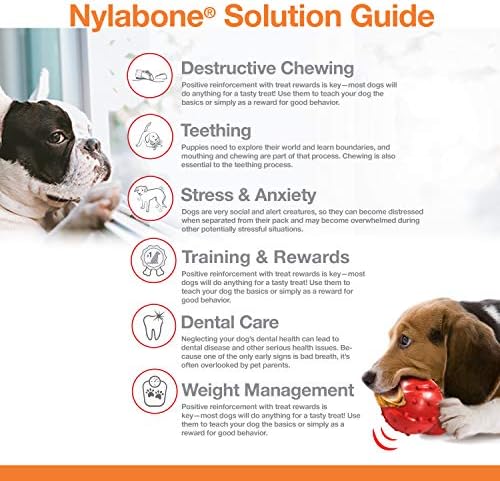 Nylabone Flavor Frenzy Power Дъвчене играчка за кучета Филаделфия Cheesesteak X-Large /Чорба (1 порция)