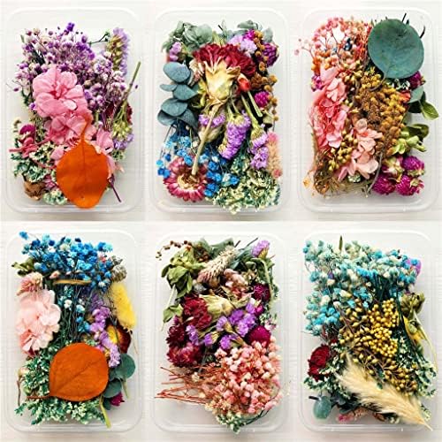 ZYJBM 6 Кутия за Сухи Цветя Декоративна Смола Истински Сушени Растения, Изработване на Рамки за снимки Сувенирное Занаят САМ Аксесоари