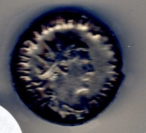 257 ДЕ римският император Валериан Антониниан VF-35 ANACS