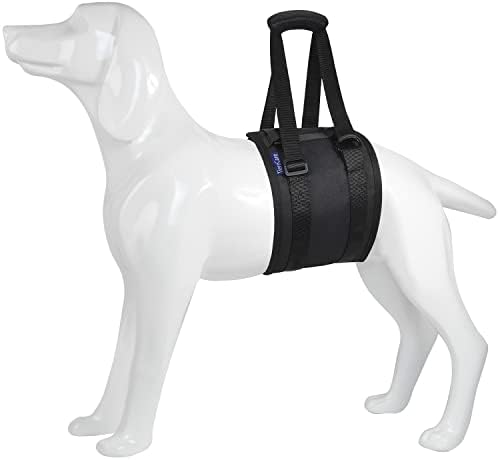 Прашка за кучета TiereCare за големи кучета, който Поддържа задните си крака, Напълно увити с катарама, Шлейка за повдигане на