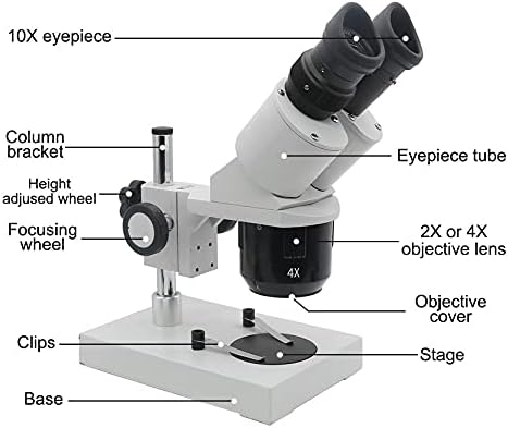 DJASM 10X-20X-30X-40X Бинокъла на Стереомикроскоп С подсветка Промишлен микроскоп с Окуляром за ремонт часа, проверка на печатни платки