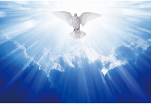 OERJU 12x10ft Исус Христос Излъчва Свети Светлина Фон За Снимки Божието Благословение Бял Гълъб в Синьото Небе, Пратеник