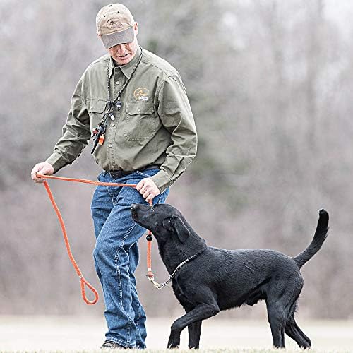 Корпоративна Свирка за спортни кучета Roy Gonia без грахово зърно - Тренировъчен Свирка за ловни кучета с удобен дизайн духаше - Оранжев
