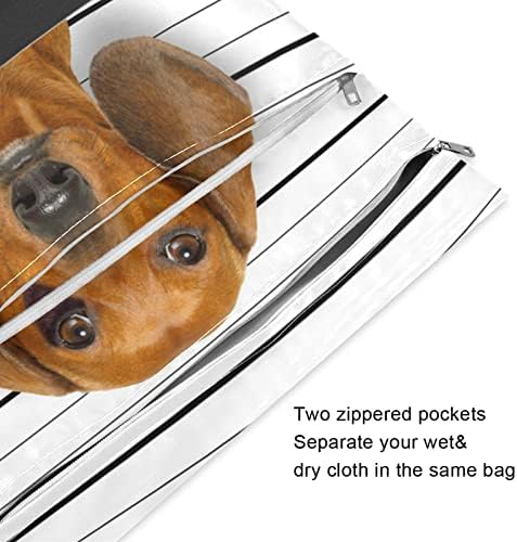 DJYQBFA Bad Dog Strip Print Мокри и Сухи Чанти 2 бр. Водоустойчива Влажна Чанта за Многократна употреба Мокри, Сухи Торби за Бански