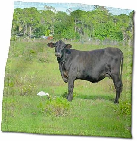 Кърпа от Зелена Трева 3dRose Black Cow White Bird, 15 x 22