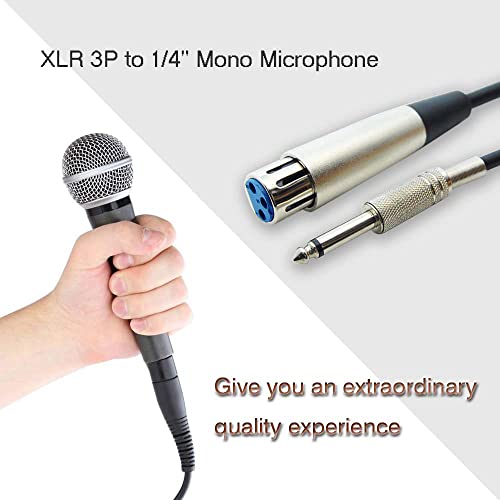 Кабел Central LLC (10 x 10 на крак кабел XLR 3P с жак за микрофон 1/4 с несимметричным кабел - 10 метра