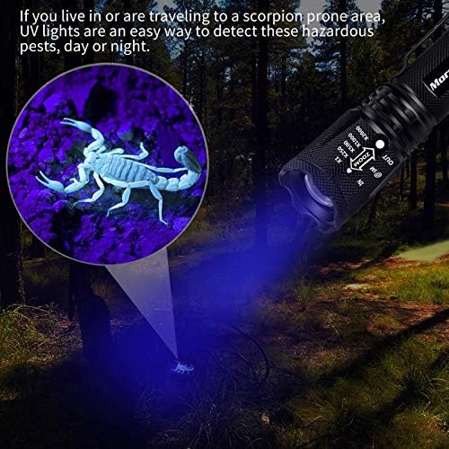светлини morpilot Blacklight, 2 в 1, led UV-лампа Blacklight с подсветка 500ЛМ, 4 режима, 395 нм, фенерче черен цвят на урината