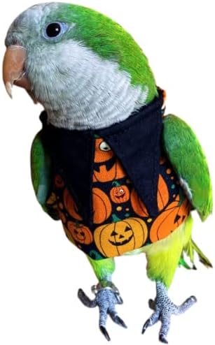 Облекло за птици - в памучна Риза и Пуловер, Ръчно изработени Хелоуин с Шарени Тиква, Както и Костюм за Папагал, Африкански Сиви Папагали,
