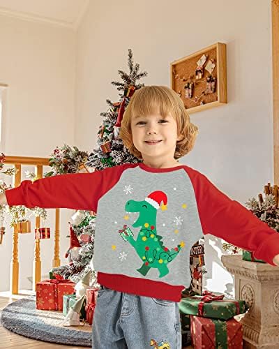 Hoody за Малки Момчета и Момичета, на Коледа Raglan с Дълъг Ръкав, тениски с образа на Санта Лосове, Върхове с Динозавър