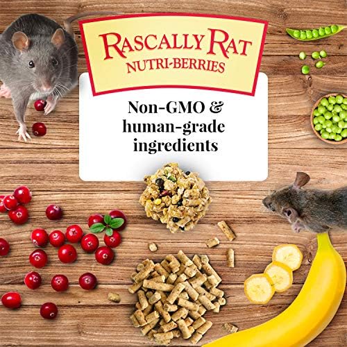 LAFEBER'S Rascally Rat Nutri-Плодове, Приготвени от съставки, които не съдържат ГМО и полезни за човека, за плъхове, 10 грама