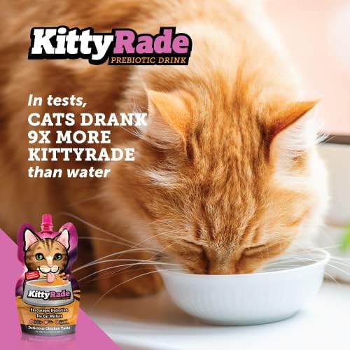 KittyRade – Вкусен, Полезен Пребиотик, Физиологичен напитки за котки, Електролити | Сигурен Хидратиращ напитка за котки и Нискокалорични