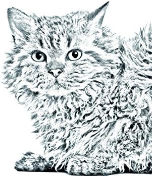 Арт Дог Оод. Котка, Селкирк Рекс, Овално Надгробен камък от Керамични плочки с Изображение на котка
