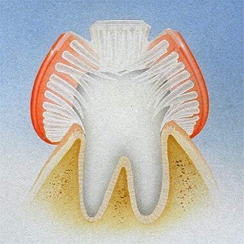 LIUCM 3-Странен Четка за Зъби За Аутизъм, Пътна Четка за Зъби С Три Четина, Голям Ъгъл За Грижа За Венците, Четината Почистват на Всеки Зъб,
