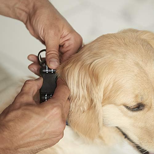 Найлонов нашийник за кучета – Отразяваща – Franklin Пет Supply Co™ – Удобна кацане – Неопрен – Регулируема по – Малко – Син