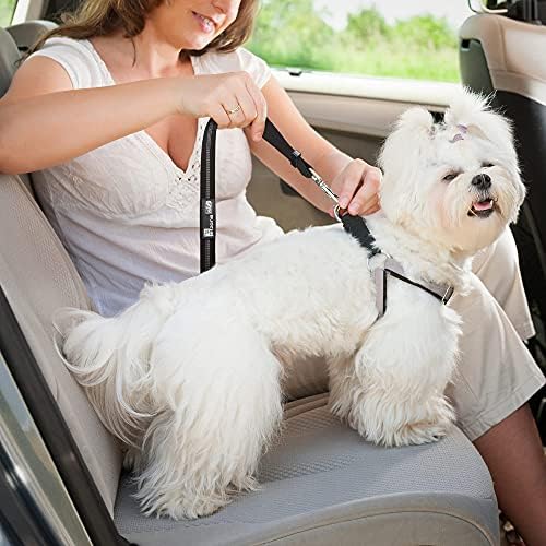 Предпазен колан за куче с Еластична Бънджи-буфер | Автомобилни Аксесоари за Пътуване за кучета, Регулируем Еластичен (Черен)