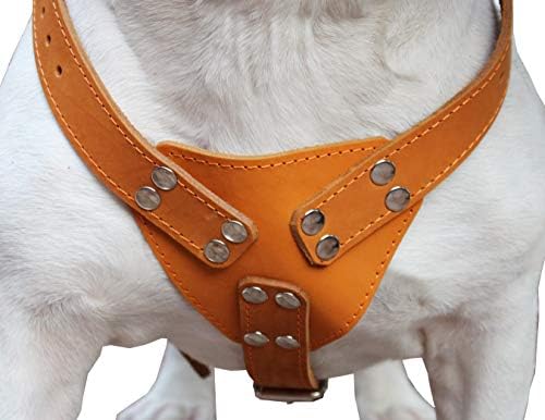 Orange шлейка за кучета от естествена кожа, от голям до XLarge. Гърдите 33 инча-37 см, широки презрамки 1,5 инча, Мастифф.
