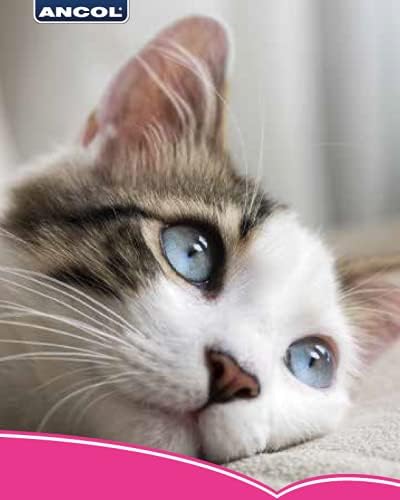 Отразяваща Котешки нашийник Ancol Гланц със Защитна Катарама Сребрист Цвят