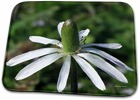 3dRose Джаки Popp Природа и Цветя на дивата природа - Wildflower - Постелки за баня (rug-21164-1)