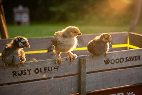 Храна (Scratch and Peck Cluckin' Good Chick Grit - 7 паунда - Добавка за развитието на стомаха пилета и патета - Нарязан