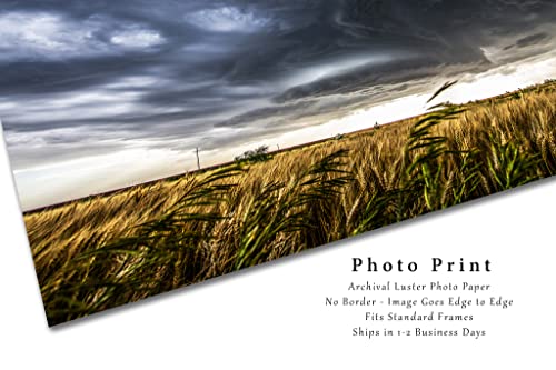 Снимка буря Печат (без рамка) Изображение Скулптурни Суперячейки Буря Над пшеничным поле в пролетен ден в Канзас Небето Стенно Изкуство