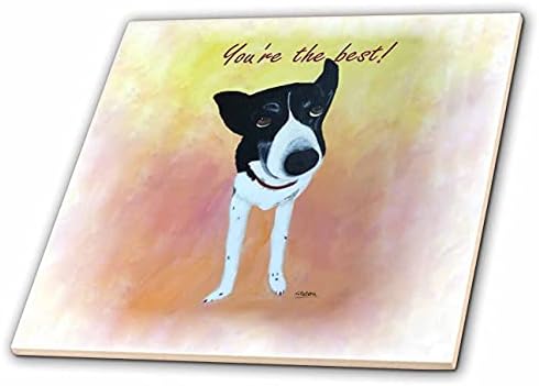 Триизмерна хубава картина с изображение на черно-бяло куче collie Ти си най-добрият - Tiles (ct_349819_1)