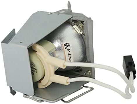 Подмяна на лампата на проектора Dekain за Optoma BL-FP195C S365 W365 X365 С храненето от OEM лампа Osram P-VIP - 1 година Гаранция
