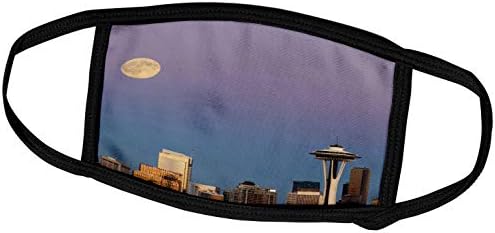 3dRose щата Вашингтон, Сиатъл, вид на силуета под формата на пълна луна (fc_251542_3)