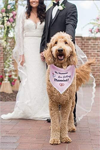 UD My Хора се женят, Сватбена Кърпа за кучета, Скъпи Дизайнерски Шал за сватба, Подарък за Участието, за малки кучета е Среден (Бял)