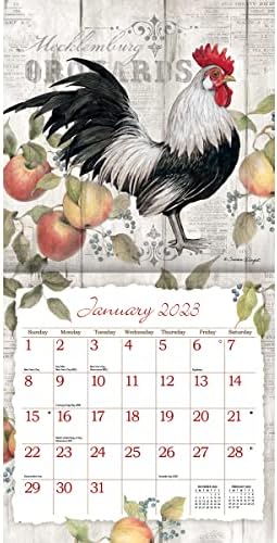 Стенен календар WSBL Roosters 2023 12X12 (23997001691)