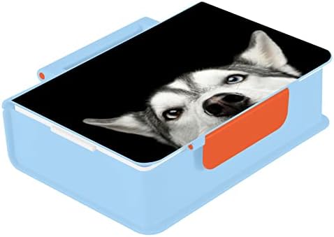 Кутия за обяд ALAZA Head Of Peeking Siberian Husky Fun Dog Bento, Херметични Контейнери за обяд, които не съдържат BPA, с вилица и лъжица,