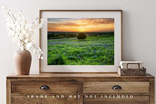 Снимка в стил кънтри, Принт (без рамка), Изображението самотно дърво в полето със сини пъпки по залез слънце на пролетта вечер в Тексас,