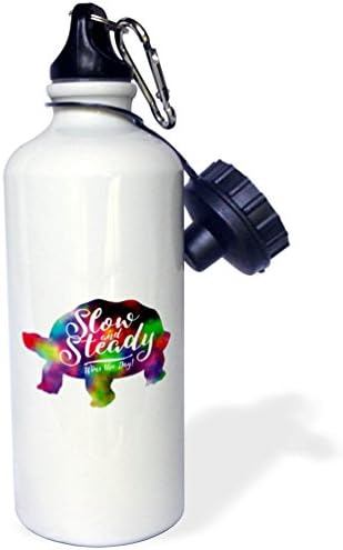 3dRose Slow and Steady Печели ден -Цветна бутилка за вода под формата на Ириса Костенурки, 21 унция