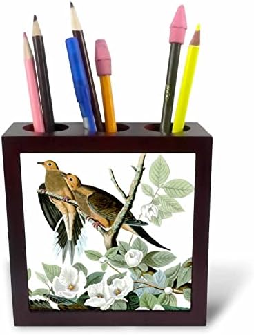 3dRose Траурна гълъб Love Audubon Birds Романтични гълъби Реколта Арт. - Поставка за химикалки от плочки (ph-365459-1)
