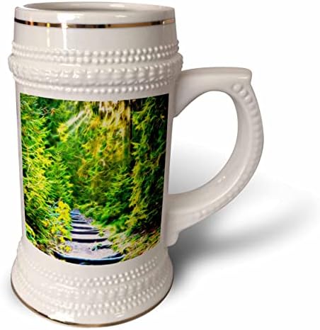 3. Снимка пътеки облицовани сочни борови дървета, С приложената към него лека рисувани - чаша за стейна на 22 унция (stn-365048-1)