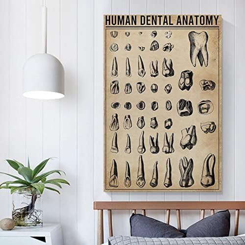 Анатомия на зъбите на Човек Стоматологичен Оттичане Плакат на Анатомията на зъбите на Човек Плакат Старомодна Стоматологичен Плакат Платно Живопис Плакати И Щамп