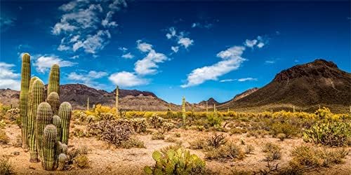 Yeele 20x10ft Изоставен Инфинити Фон За Снимки на Планини Saguaro Cactus Растения Фотофоны За Момичета И Момчета Възрастен Туризъм