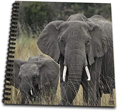 3dRose db_9896_2 Африкански слон, Loxodonta Africana, Националния парк Масай Мара, Кения Африка 2 Книга на паметта, 12 от 12
